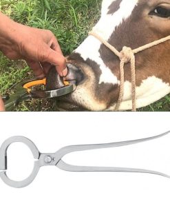 Pliers for piercing a cow's nose