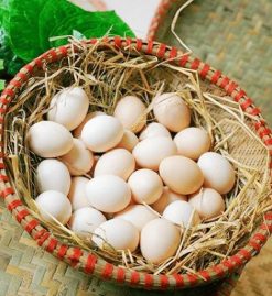 Chicken eggs