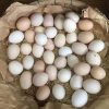 Chicken eggs